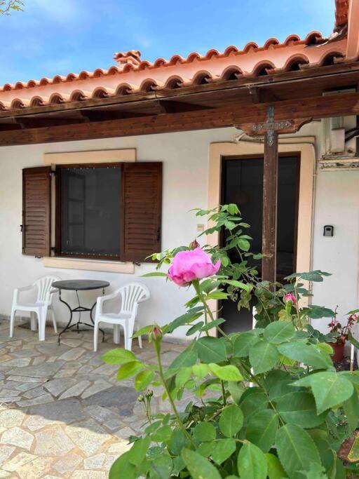Cozy Studio In Skala, Agistri Apartment Ngoại thất bức ảnh